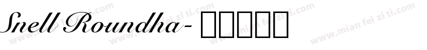 Snell Roundha字体转换
